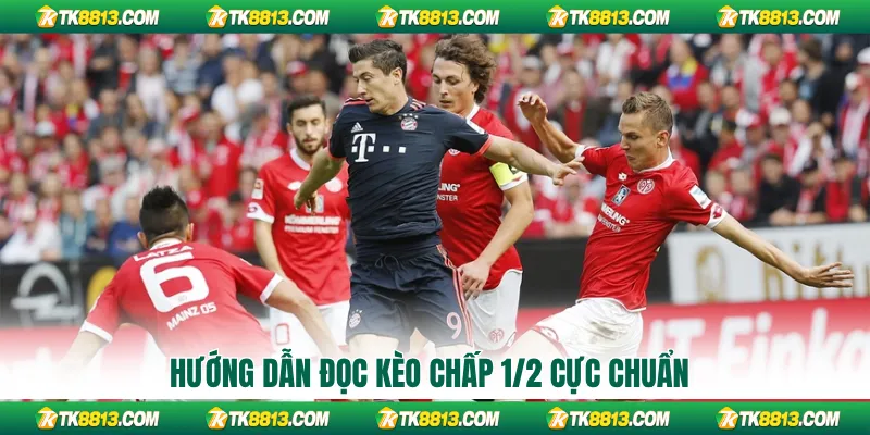 Hướng dẫn đọc kèo chấp 1/2 cực chuẩn